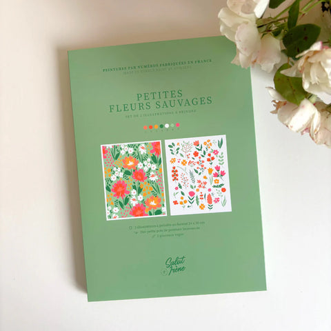 Coffret Peinture au Numéro Petites Fleurs Sauvages