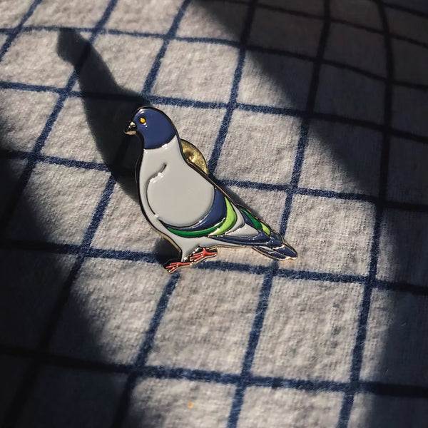 Pin's Pigeon