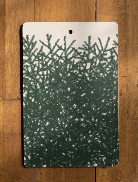 Planche de Présentation Sapin