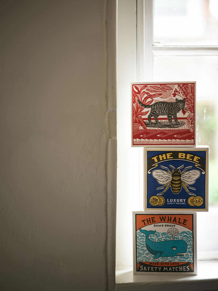 Boîte d'Allumettes Sasha The Cat