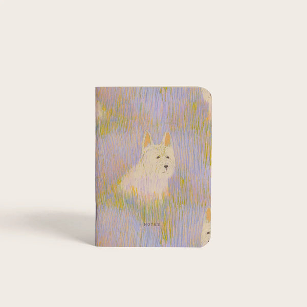 Assortiment de Papeterie Scott