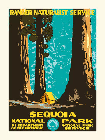 Affiche Sequoia