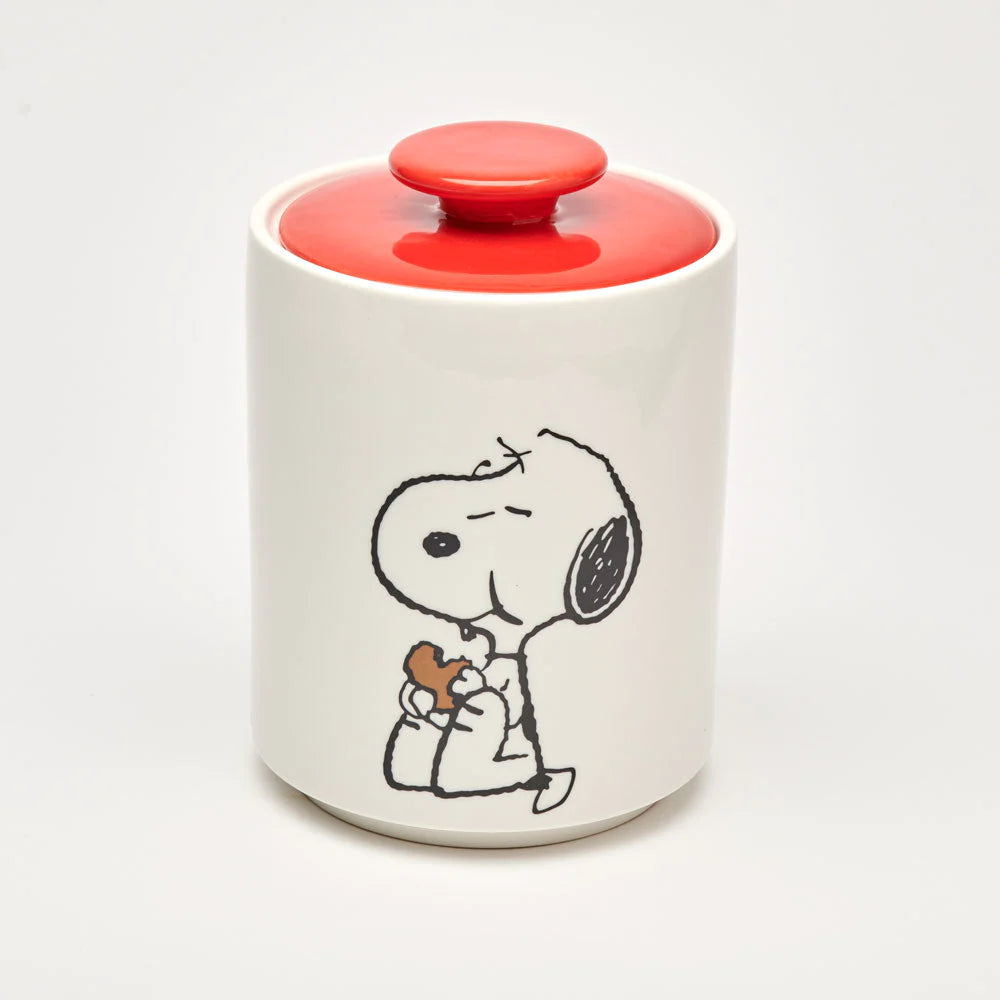 Boîte à Biscuits Peanuts Snoopy
