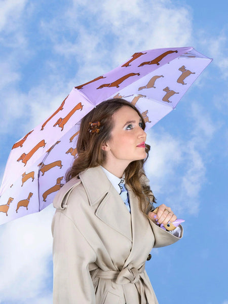 Parapluie Canard Teckel