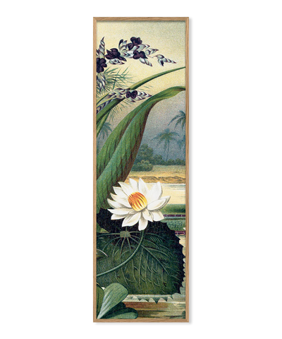 Cadre Water Lily