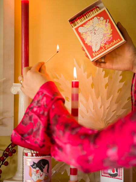 Boîte d'Allumettes Festive Poodle