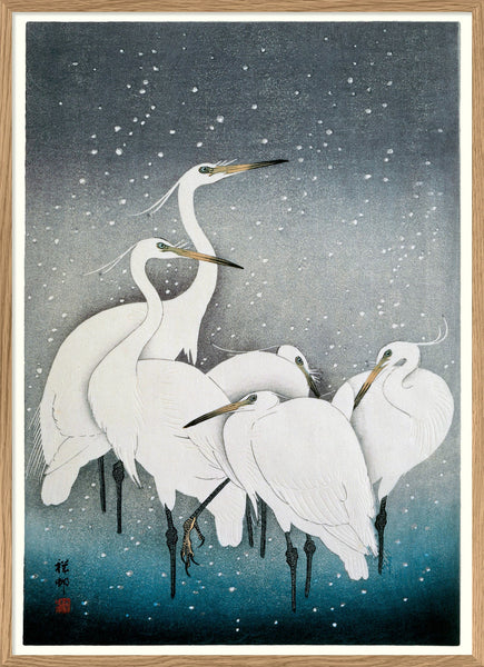 Affiche Snowy Herons