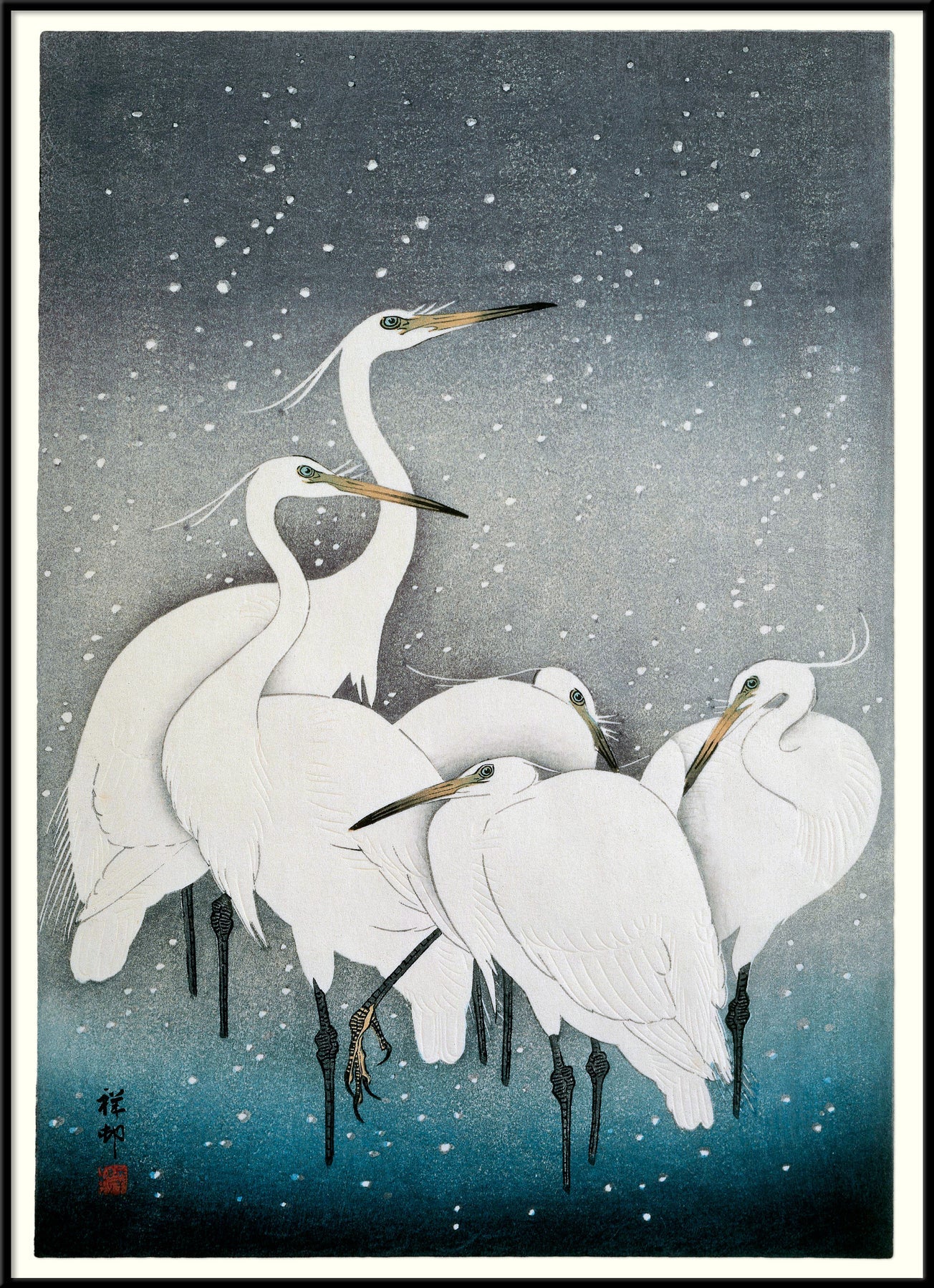 Affiche Snowy Herons