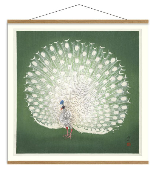 Affiche Peacock on Green