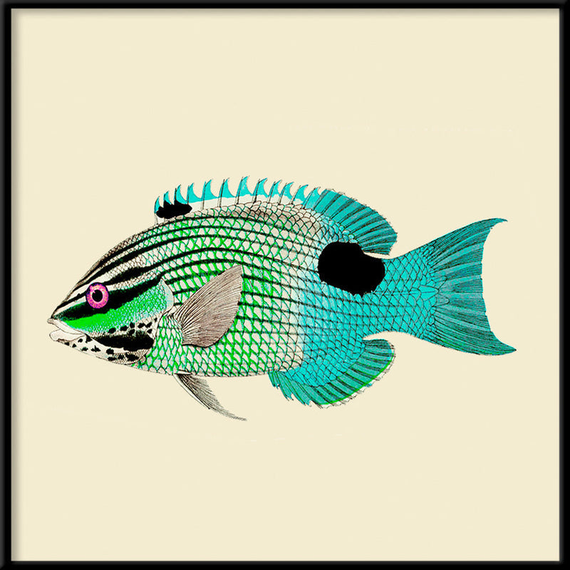 Cadre Turquoise & Neon Green Fish