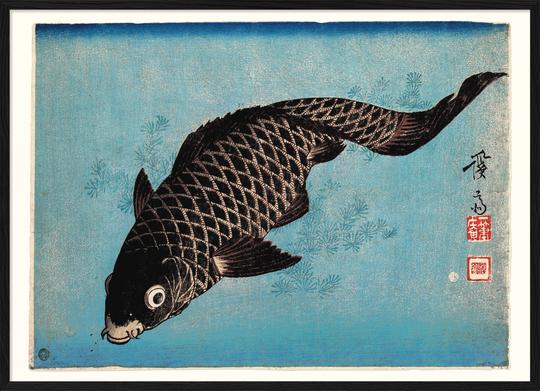 Affiche Koï Fish