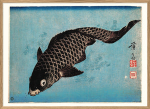 Affiche Koï Fish