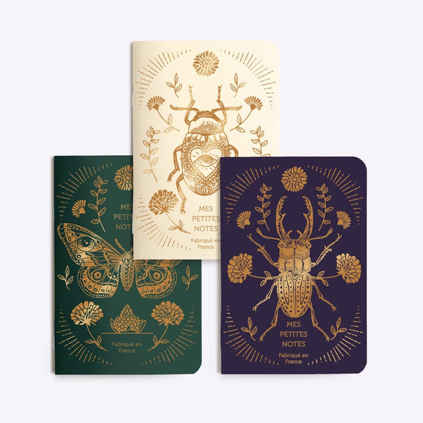 Trio Carnets Scarabée